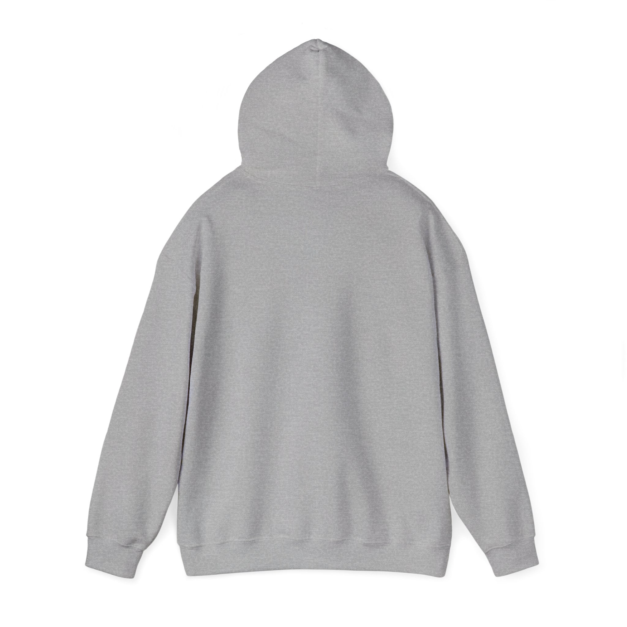Sal Hoodie