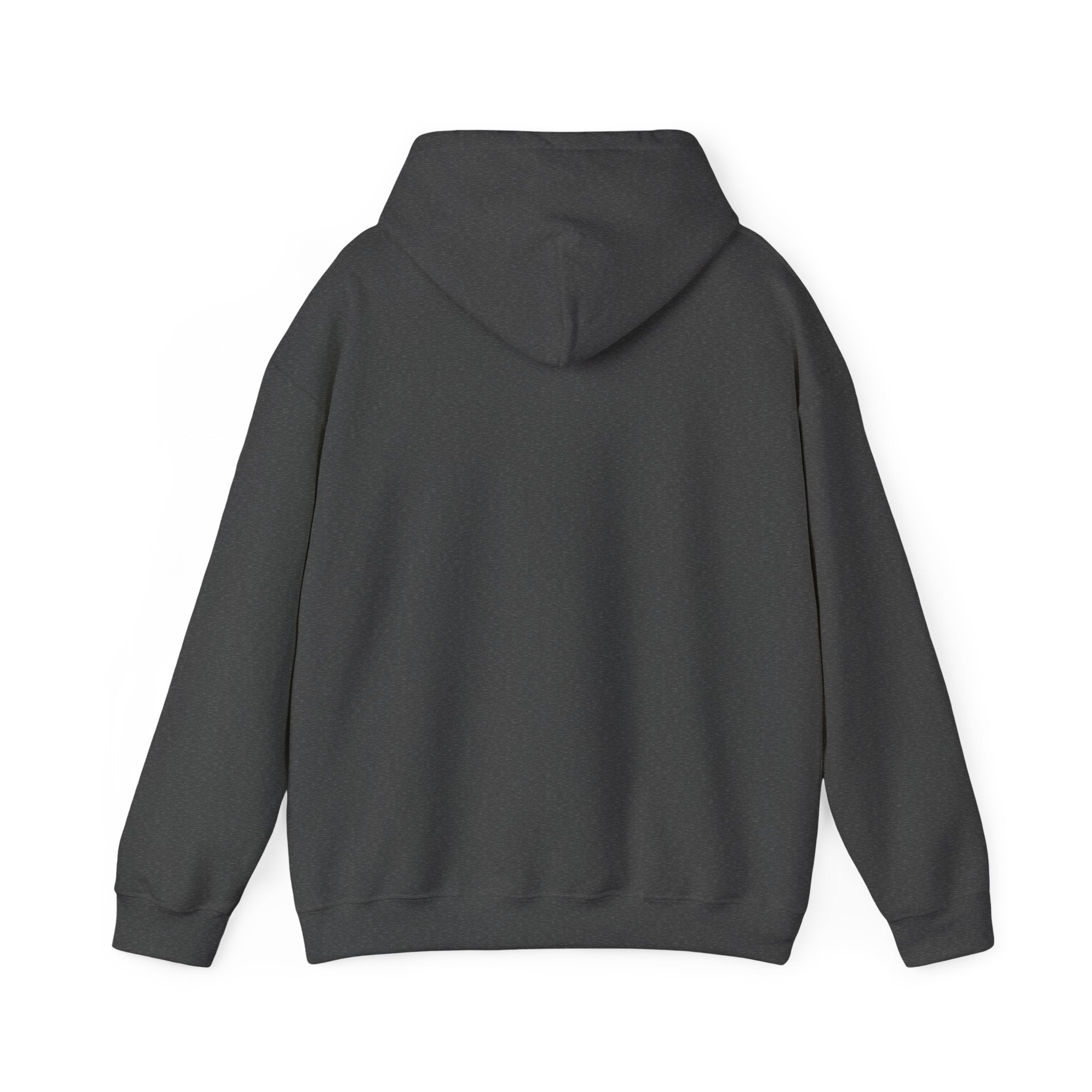 Sal Hoodie