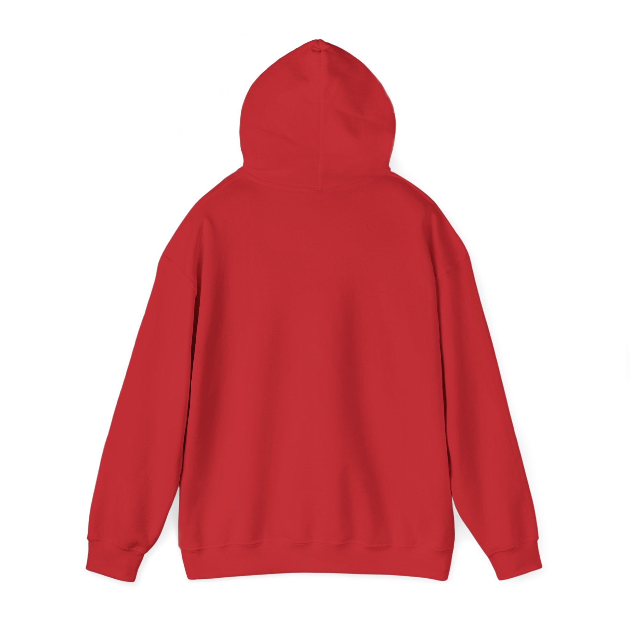 Sal Hoodie