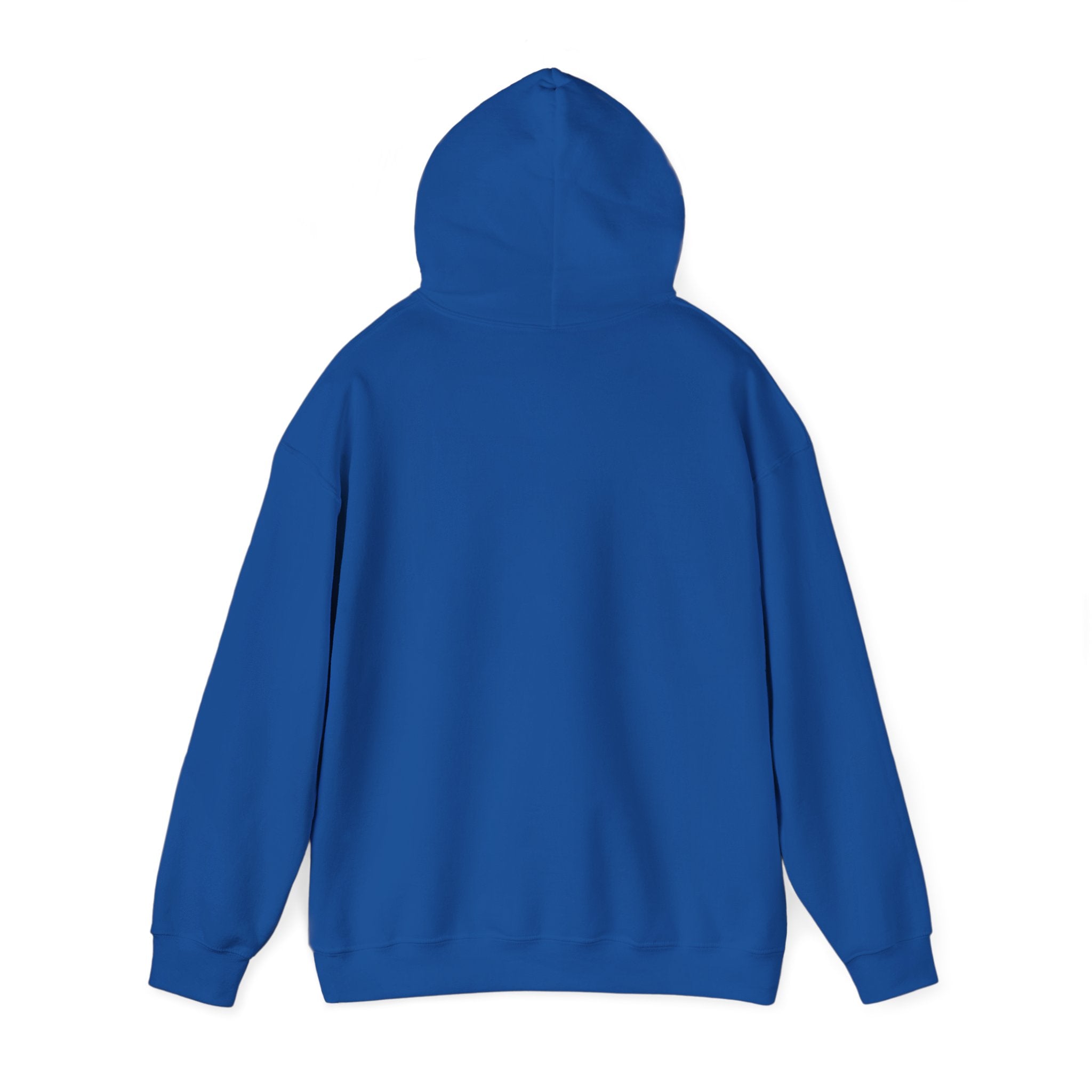 Sal Hoodie