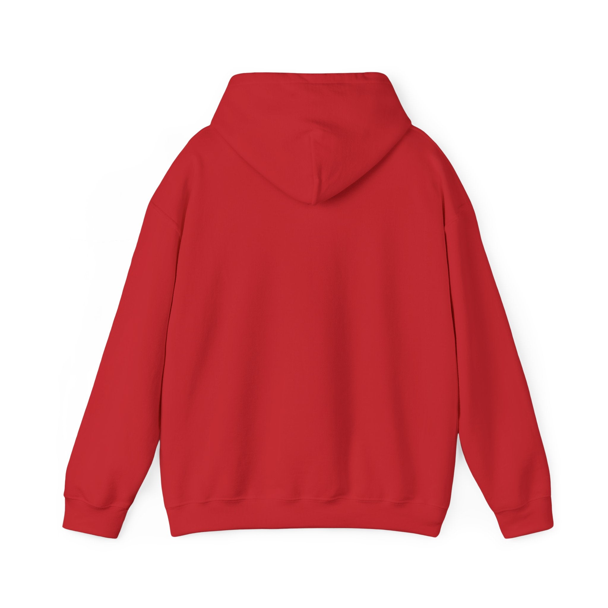 Sal Hoodie