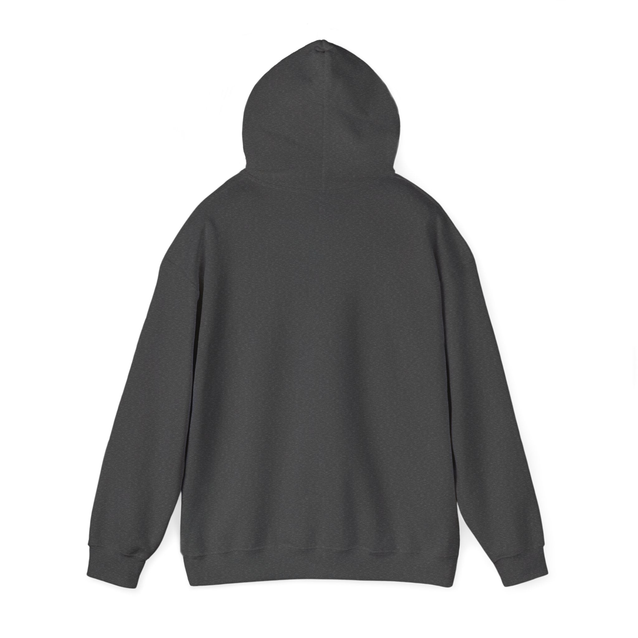 Sal Hoodie